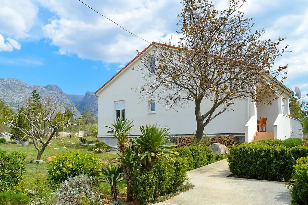 Apartments Zara Seline