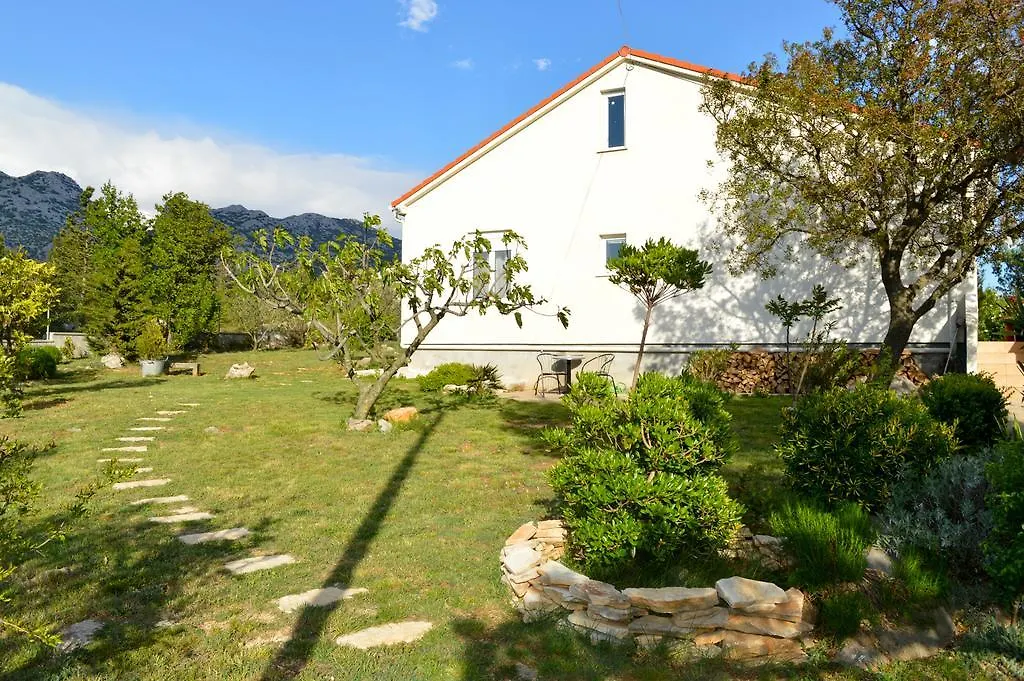 Apartments Zara Seline
