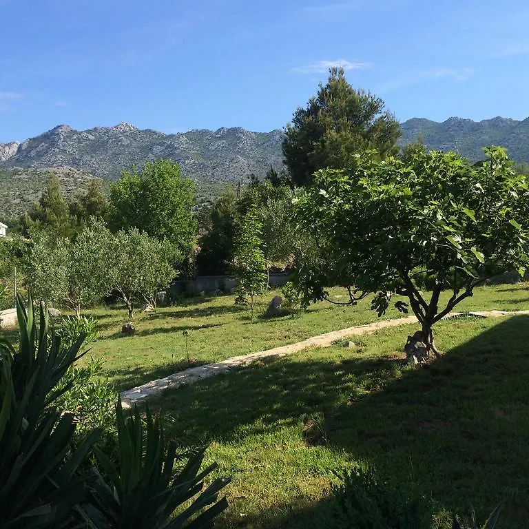 Apartments Zara Seline